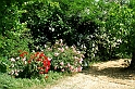 Fiori, Piante, natura_33